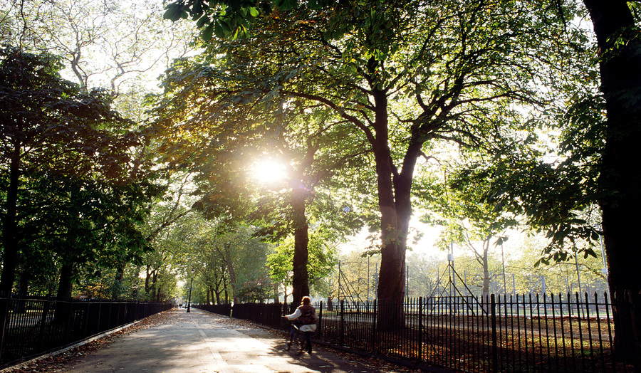 A path bordered by trees and a fence stretching into the distance.