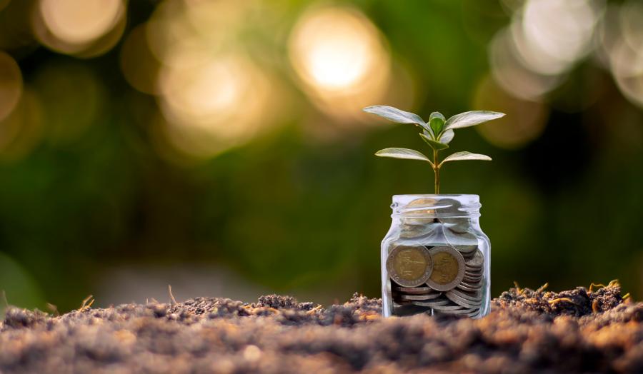 Money jar and leaf sprout
