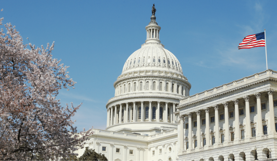 A picture of Congress