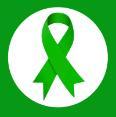 A green ribbon on a white background