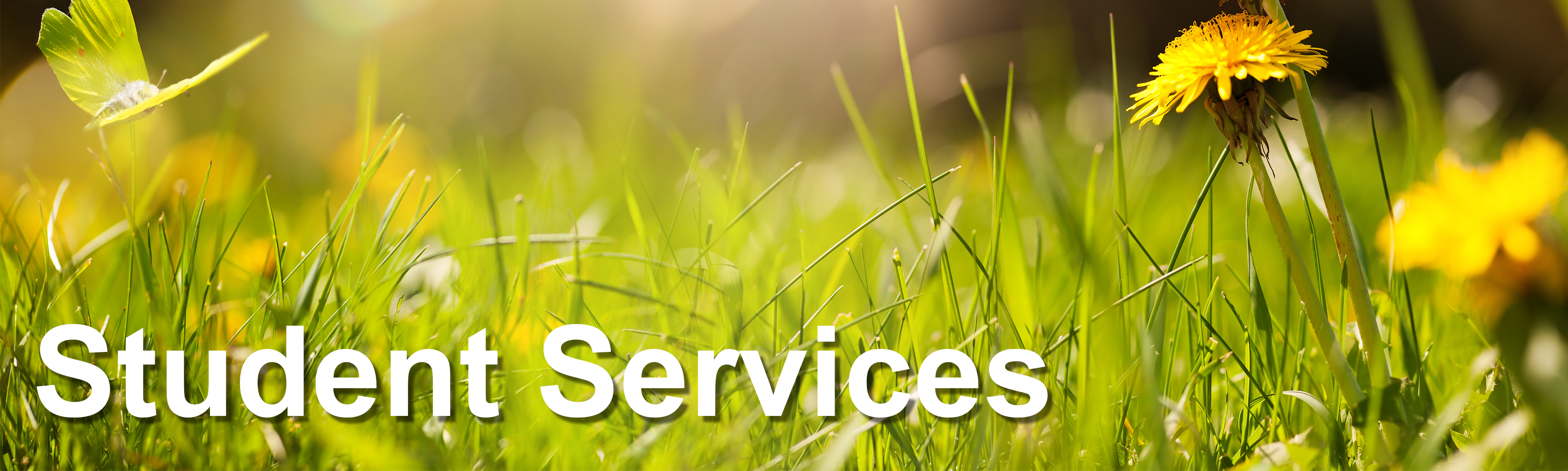Image of grass and some flowers upon which are the words Student Services.